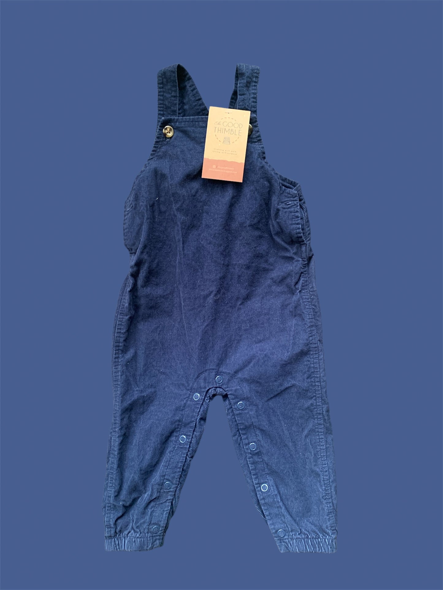 Blue Corduroy Jumper Overalls (Size 12M)