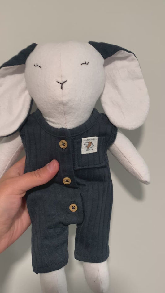 Make Your Own Custom Keepsake Bunny